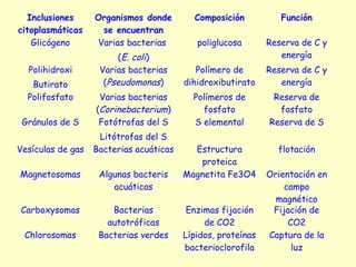 Inclusiones
citoplasmáticas
Organismos donde
se encuentran
Composición Función
Glicógeno Varias bacterias
(E. coli)
poliglucosa Reserva de C y
energía
Polihidroxi
Butirato
Varias bacterias
(Pseudomonas)
Polímero de
dihidroxibutirato
Reserva de C y
energía
Polifosfato Varias bacterias
(Corinebacterium)
Polímeros de
fosfato
Reserva de
fosfato
Gránulos de S Fotótrofas del S
Litótrofas del S
S elemental Reserva de S
Vesículas de gas Bacterias acuáticas Estructura
proteica
flotación
Magnetosomas Algunas bacteris
acuáticas
Magnetita Fe3O4 Orientación en
campo
magnético
Carboxysomas Bacterias
autotróficas
Enzimas fijación
de CO2
Fijación de
CO2
Chlorosomas Bacterias verdes Lípidos, proteínas
bacterioclorofila
Captura de la
luz
 
