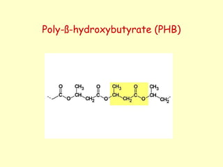 Poly-ß-hydroxybutyrate (PHB)
 