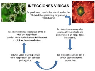 INFECCIONES VÍRICAS
Se producen cuando los virus invaden las
células del organismo y empiezan a
reproducirse
Las infecciones son agudas
cuando el virus infecta por
primera vez a un hospedador
susceptible.
algunas veces el virus persiste
en el hospedador por periodos
prolongados.
Las infecciones virales por lo
común ceden en forma
espontánea.
Las interacciones a largo plazo entre el
virus y el hospedador
pueden tomar varias formas: Persistentes
o crónicas, latentes o lentas.
 