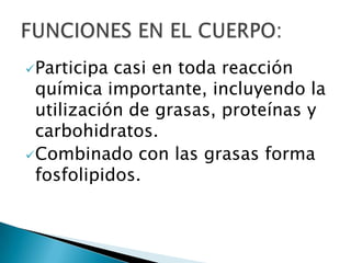  Participa casi en toda reacción
  química importante, incluyendo la
  utilización de grasas, proteínas y
  carbohidratos.
 Combinado con las grasas forma
  fosfolipidos.
 
