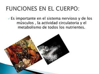    Es importante en el sistema nervioso y de los
        músculos , la actividad circulatoria y el
        metabolismo de todos los nutrientes.
 