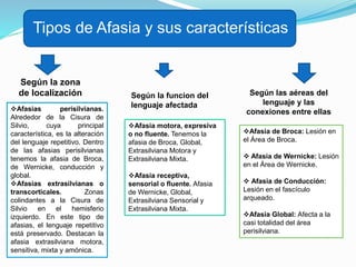 Tipos de Afasia y sus características
Según la zona
de localización
Afasias perisilvianas.
Alrededor de la Cisura de
Silvio, cuya principal
característica, es la alteración
del lenguaje repetitivo. Dentro
de las afasias perisilvianas
tenemos la afasia de Broca,
de Wernicke, conducción y
global.
Afasias extrasilvianas o
transcorticales. Zonas
colindantes a la Cisura de
Silvio en el hemisferio
izquierdo. En este tipo de
afasias, el lenguaje repetitivo
está preservado. Destacan la
afasia extrasilviana motora,
sensitiva, mixta y amónica.
Según la funcion del
lenguaje afectada
Afasia motora, expresiva
o no fluente. Tenemos la
afasia de Broca, Global,
Extrasilviana Motora y
Extrasilviana Mixta.
Afasia receptiva,
sensorial o fluente. Afasia
de Wernicke, Global,
Extrasilviana Sensorial y
Extrasilviana Mixta.
Según las aéreas del
lenguaje y las
conexiones entre ellas
Afasia de Broca: Lesión en
el Área de Broca.
 Afasia de Wernicke: Lesión
en el Área de Wernicke.
 Afasia de Conducción:
Lesión en el fascículo
arqueado.
Afasia Global: Afecta a la
casi totalidad del área
perisilviana.
 