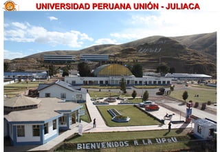 UNIVERSIDAD PERUANA UNIÓN - JULIACAUNIVERSIDAD PERUANA UNIÓN - JULIACA
11
 