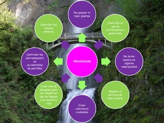 No quemar ni
                           talar plantas

                                            Controlar el
          Controlar los
                                               uso de
            relaves
                                           fertilizantes y
            mineros
                                             pesticidas




Controlar los
                                                         No botar
derramamient
                                                         basura en
      os                   PREVENCION
                                                          lugares
 accidentales
                                                       inapropiados
 de petróleo




          crear vías de
          desagües para
                                             Regular el
          las industrias
                                            servicio de
          que no lleguen
                                            aseo urbano
          a los mares ni
                ríos
                              Crear
                            conciencia
                            ciudadana
 