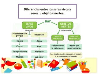 Diferencias entre los seres vivos y
seres u objetos inertes.
 