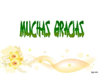 Diapositivas nts usna