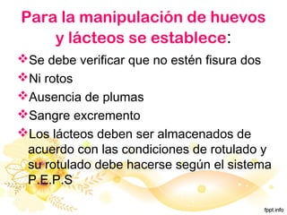Para la manipulación de huevos
y lácteos se establece:
Se debe verificar que no estén fisura dos
Ni rotos
Ausencia de plumas
Sangre excremento
Los lácteos deben ser almacenados de
acuerdo con las condiciones de rotulado y
su rotulado debe hacerse según el sistema
P.E.P.S
 