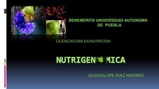 LICENCIATURA EN NUTRICION
GUADALUPE DIAZ MAXIMO
BENEMERITA UNIVERSIDAD AUTONOMA
DE PUEBLA
 