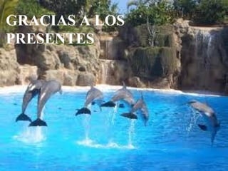 GRACIAS A LOS
PRESENTES
 