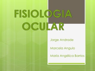 FISIOLOGIA OCULAR Jorge Andrade Marcela Angulo  María Angélica Barrios 