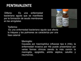 Difteria: Es una enfermedad
bacteriana aguda que se manifiesta
por la formación de seudo membranas
en las amígdalas
Tosferina:
Es una enfermedad bacteriana aguda que afecta
la tráquea y los pulmones se caracteriza por una
fase catarral
Meningitis:
Causada por haemophilus influezae tipo b (Hib), la
enfermedad invasiva por Hib puede presentarse por
varias formas clínicas siendo la más común la
meningitis, epiglotitis, artritis séptica, celulitis y
neumonías.
 