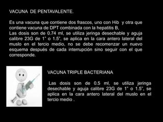 VACUNA DE PENTAVALENTE.
Es una vacuna que contiene dos frascos, uno con Hib y otra que
contiene vacuna de DPT combinada con la hepatitis B,
Las dosis son de 0.74 ml, se utiliza jeringa desechable y aguja
calibre 23G de 1” o 1.5”, se aplica en la cara antero lateral del
muslo en el tercio medio, no se debe recomenzar un nuevo
esquema después de cada interrupción sino seguir con el que
corresponde.
VACUNA TRIPLE BACTERIANA
Las dosis son de 0.5 ml, se utiliza jeringa
desechable y aguja calibre 23G de 1” o 1.5”, se
aplica en la cara antero lateral del muslo en el
tercio medio .
 