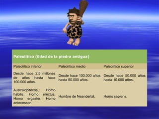 Homo sapiens. Hombre de Neandertal. Australopitecos, Homo habilis, Homo erectus, Homo ergaster, Homo antecessor. Desde hace 50.000 años hasta 10.000 años. Desde hace 100.000 años hasta 50.000 años. Desde hace 2,5 millones de años hasta hace 100.000 años. Paleolítico superior Paleolítico medio Paleolítico inferior Paleolítico (Edad de la piedra antigua) 