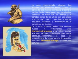 La caza proporcionaba alimento. Los hombres de Paleolítico Medio comían la carne de una manera semejante a como lo hacían hasta hace poco los esquimales, sujetando un trozo con los dientes y lo cortaban cerca de los labios con una afilada hoja de sílex, por lo que han aparecido pequeñas ralladuras o microcortes en el esmalte de los dientes.  De la caza obtenían pieles para vestirse, huesos y cornamentas para  fabricar instrumentos  muy útiles: agujas, anzuelos, arpones, propulsores para lanzar azagayas…Finalmente, la caza les proporcionaba la grasa para la iluminación, una vez  dominado el fuego , y para sus pinturas. 