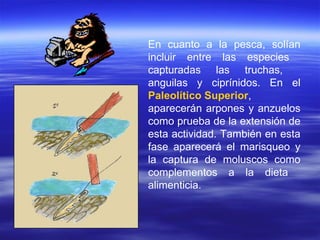 En cuanto a la pesca, solían incluir entre las especies  capturadas las truchas,  anguilas y ciprínidos. En el  Paleolítico Superior ,  aparecerán arpones y anzuelos como prueba de la extensión de esta actividad. También en esta fase aparecerá el marisqueo y la captura de moluscos como complementos a la dieta  alimenticia. 