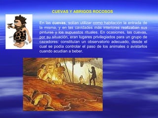 CUEVAS Y ABRIGOS ROCOSOS   En las  cuevas , solían utilizar como habitación la entrada de la misma, y en las cavidades más interiores realizaban sus pinturas y los supuestos rituales. En ocasiones, las cuevas, por su situación, eran lugares privilegiados para un grupo de cazadores: constituían un observatorio adecuado, desde el cual se podía controlar el paso de los animales o avistarlos cuando acudían a beber. 