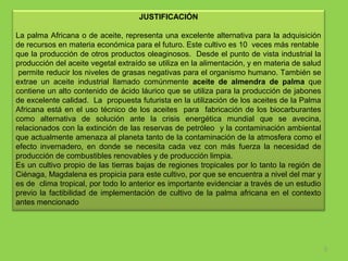 JUSTIFICACIÓN
La palma Africana o de aceite, representa una excelente alternativa para la adquisición 
de recursos en materia económica para el futuro. Este cultivo es 10  veces más rentable  
que la producción de otros productos oleaginosos.  Desde el punto de vista industrial la 
producción del aceite vegetal extraído se utiliza en la alimentación, y en materia de salud 
 permite reducir los niveles de grasas negativas para el organismo humano. También se 
extrae  un  aceite  industrial  llamado  comúnmente  aceite de almendra  de palma  que 
contiene un alto contenido de ácido láurico que se utiliza para la producción de jabones 
de excelente calidad.  La  propuesta futurista en la utilización de los aceites de la Palma 
Africana  está  en  el  uso  técnico  de  los  aceites    para    fabricación  de  los  biocarburantes 
como  alternativa  de  solución  ante  la  crisis  energética  mundial  que  se  avecina, 
relacionados con la extinción de las reservas de petróleo  y la contaminación ambiental 
que actualmente amenaza al planeta tanto de la contaminación de la atmosfera como el 
efecto  invernadero,  en  donde  se  necesita  cada  vez  con  más  fuerza  la  necesidad  de 
producción de combustibles renovables y de producción limpia.
Es un cultivo propio de las tierras bajas de regiones tropicales por lo tanto la región de 
Ciénaga, Magdalena es propicia para este cultivo, por que se encuentra a nivel del mar y 
es de  clima tropical, por todo lo anterior es importante evidenciar a través de un estudio 
previo  la  factibilidad  de  implementación  de  cultivo  de  la  palma  africana  en  el  contexto 
antes mencionado

3

 