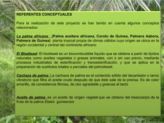 REFERENTES CONCEPTUALES
 
Para  la  realización  de  este  proyecto  se  han  tenido  en  cuenta  algunos  conceptos 
relacionados:
La palma africana: (Palma aceitera africana, Coroto de Guinea, Palmera Aabora,
Palmera de Guinea)  planta tropical propia de climas cálidos cuyo origen se ubica en la 
región occidental y central del continente africano
El Biodiesel: El biodiesel es un biocombustible líquido que se obtiene a partir de lípidos 
naturales  como  aceites  vegetales  o  grasas  animales,  con  o  sin  uso  previo,  mediante 
procesos  industriales  de  esterificación  y  transesterificación,  y  que  se  aplica  en  la 
preparación de sustitutos totales o parciales del petrodiesel.
Cachaza de palma: La cachaza de palma es el contenido sólido del decantador o tamiz 
vibratorio que filtra el aceite crudo después de que éste sale de la prensa. Es de color 
amarillo, de consistencia fibrosa, de olor agradable y grasosa al tacto
Aceite de palma: es  un aceite  de  origen  vegetal que  se  obtiene  del mesocarpio de  la 
fruta de la palma Elaeis guineensis
 
7

 