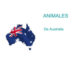 ANIMALES   De   Australia 