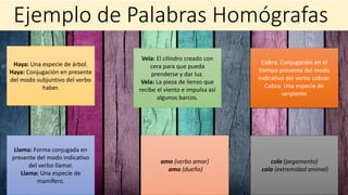 Haya: Una especie de árbol.
Haya: Conjugación en presente
del modo subjuntivo del verbo
haber.
Llama: Forma conjugada en
presente del modo indicativo
del verbo llamar.
Llama: Una especie de
mamífero.
Vela: El cilindro creado con
cera para que pueda
prenderse y dar luz.
Vela: La pieza de lienzo que
recibe el viento e impulsa así
algunos barcos.
Cobra: Conjugación en el
tiempo presente del modo
indicativo del verbo cobrar.
Cobra: Una especie de
serpiente
cola (pegamento)
cola (extremidad animal)
amo (verbo amar)
amo (dueño)
.
Ejemplo de Palabras Homógrafas
 