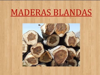 MADERAS BLANDAS

 