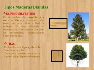 Tipos Maderas Blandas:
EL PINO SILVESTRE:
Es la madera de carpintería y
construcción por excelencia: algo
rojiza, de grano fino y fácil de
trabajar. Es muy adecuada en
construcción y se emplea con éxito
en
entramados,
cimentaciones,
obras hidráulicas.

TILO.
Madera blanda, ligera y flexible.
Se trabaja muy bien.
Tiene poca resistencia mecánica.
Zuecos, tallas, lápices y bastones.

 