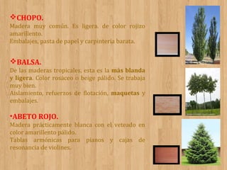 CHOPO.
Madera muy común. Es ligera. de color rojizo
amarillento.
Embalajes, pasta de papel y carpintería barata.

BALSA.
De las maderas tropicales, esta es la más blanda
y ligera. Color rosáceo o beige pálido. Se trabaja
muy bien.
Aislamiento, refuerzos de flotación, maquetas y
embalajes.

•ABETO ROJO.
Madera prácticamente blanca con el veteado en
color amarillento pálido.
Tablas armónicas para pianos y cajas de
resonancia de violines.

 