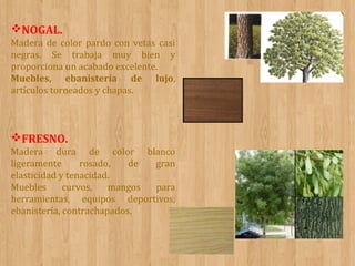 NOGAL.
Madera de color pardo con vetas casi
negras. Se trabaja muy bien y
proporciona un acabado excelente.
Muebles, ebanistería de lujo,
artículos torneados y chapas.

FRESNO.
Madera dura de color blanco
ligeramente
rosado,
de
gran
elasticidad y tenacidad.
Muebles
curvos,
mangos
para
herramientas, equipos deportivos,
ebanistería, contrachapados.

 