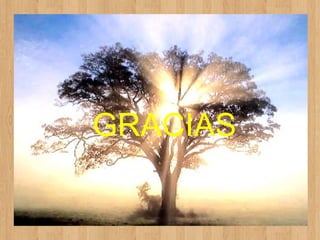 GRACIAS

 