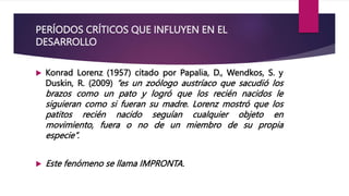 PERÍODOS CRÍTICOS QUE INFLUYEN EN EL
DESARROLLO
 Konrad Lorenz (1957) citado por Papalia, D., Wendkos, S. y
Duskin, R. (2009) “es un zoólogo austríaco que sacudió los
brazos como un pato y logró que los recién nacidos le
siguieran como si fueran su madre. Lorenz mostró que los
patitos recién nacido seguían cualquier objeto en
movimiento, fuera o no de un miembro de su propia
especie”.
 Este fenómeno se llama IMPRONTA.
 