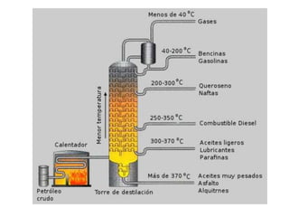 Diapositivas para tercero bi