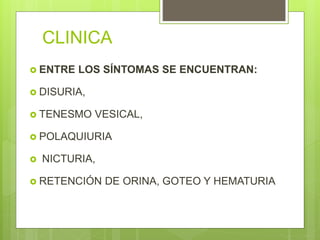 CLINICA
 ENTRE LOS SÍNTOMAS SE ENCUENTRAN:
 DISURIA,
 TENESMO VESICAL,
 POLAQUIURIA
 NICTURIA,
 RETENCIÓN DE ORINA, GOTEO Y HEMATURIA
 