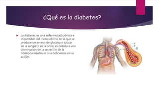 ¿Qué es la diabetes?
 La diabetes es una enfermedad crónica e
irreversible del metabolismo en la que se
produce un exceso de glucosa o azúcar
en la sangre y en la orina; es debida a una
disminución de la secreción de la
hormona insulina o una deficiencia en su
acción.
 