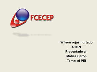 .



    Wilson rojas hurtado
           C2BN
       Presentado a :
        Matías Cerón
        Tema: el PEI
 