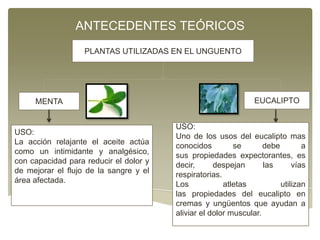 ANTECEDENTES TEÓRICOS
PLANTAS UTILIZADAS EN EL UNGUENTO

MENTA

USO:
La acción relajante el aceite actúa
como un intimidante y analgésico,
con capacidad para reducir el dolor y
de mejorar el flujo de la sangre y el
área afectada.

EUCALIPTO
USO:
Uno de los usos del eucalipto mas
conocidos
se
debe
a
sus propiedades expectorantes, es
decir,
despejan
las
vías
respiratorias.
Los
atletas
utilizan
las propiedades del eucalipto en
cremas y ungüentos que ayudan a
aliviar el dolor muscular.

 
