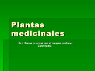 Plantas medicinales Son plantas curativas que sirven para cualquier enfermedad.  