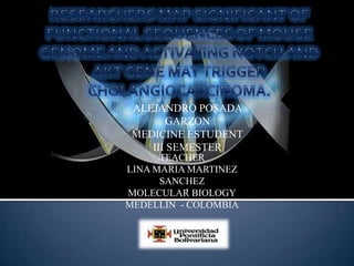 ALEJANDRO POSADA
       GARZON
 MEDICINE ESTUDENT
    III SEMESTER
      TEACHER
LINA MARIA MARTINEZ
      SANCHEZ
           .
MOLECULAR BIOLOGY
MEDELLIN - COLOMBIA
 