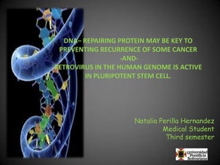 DNA– REPAIRING PROTEIN MAY BE KEY TO
 PREVENTING RECURRENCE OF SOME CANCER
                   -AND-
RETROVIRUS IN THE HUMAN GENOME IS ACTIVE
        IN PLURIPOTENT STEM CELL.




                     Natalia Perilla Hernandez
                              Medical Student
                               Third semester
 