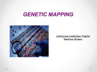 GENETIC MAPPING
CAROLINA CARDONA TOBÓN
Medicine Student
 