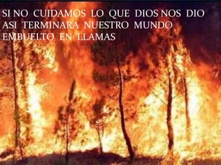 SI NO  CUIDAMOS  LO  QUE  DIOS NOS  DIO ASI  TERMINARA  NUESTRO  MUNDO  EMBUELTO  EN  LLAMAS