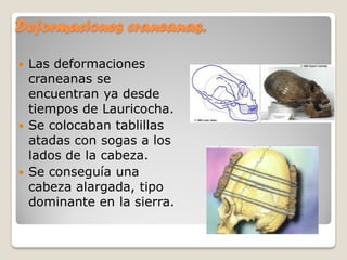 Deformaciones craneanas.
 Las deformaciones
craneanas se
encuentran ya desde
tiempos de Lauricocha.
 Se colocaban tablillas
atadas con sogas a los
lados de la cabeza.
 Se conseguía una
cabeza alargada, tipo
dominante en la sierra.
 