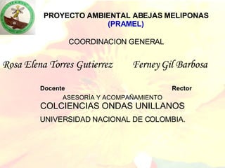 PROYECTO AMBIENTAL ABEJAS MELIPONAS (PRAMEL) Rosa Elena Torres Gutierrez  Ferney Gil Barbosa   Docente  Rector COORDINACION GENERAL UNIVERSIDAD NACIONAL DE COLOMBIA. ASESORÌA Y ACOMPAÑAMIENTO COLCIENCIAS ONDAS UNILLANOS 