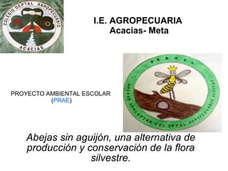 I.E. AGROPECUARIA  Acacias- Meta Abejas sin aguijón, una alternativa de producción y conservación de la flora silvestre. PROYECTO AMBIENTAL ESCOLAR ( PRAE ) 