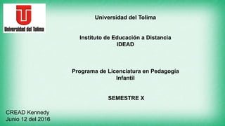 Universidad del Tolima
Instituto de Educación a Distancia
IDEAD
Programa de Licenciatura en Pedagogía
Infantil
SEMESTRE X
CREAD Kennedy
Junio 12 del 2016
 