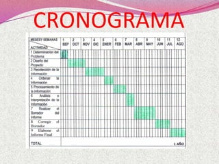 CRONOGRAMA