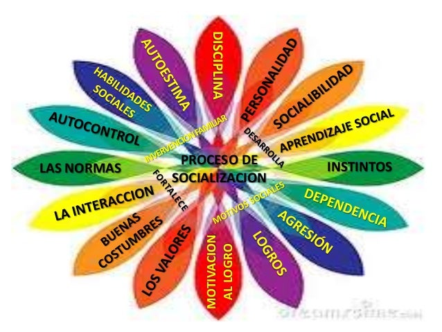 Diapositivas proceso de socializacion