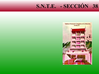 S.N.T.E.  - SECCIÓN  38 