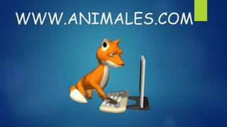 WWW.ANIMALES.COM 
 