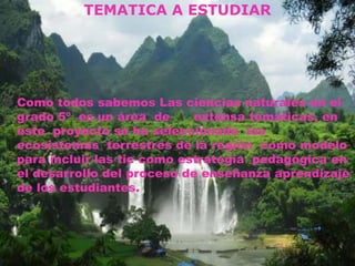 TEMATICA A ESTUDIAR

 Como todos sabemos Las ciencias naturales en el
grado 5º es un área de
extensa temáticas, en
este proyecto se ha seleccionado los
ecosistemas terrestres de la región como modelo
para incluir las tic como estrategia pedagógica en
el desarrollo del proceso de enseñanza aprendizaje
de los estudiantes.

 