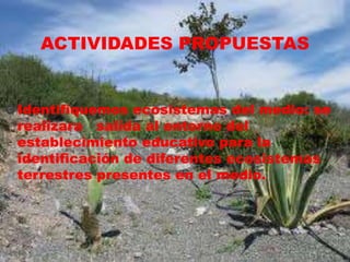 ACTIVIDADES PROPUESTAS

Identifiquemos ecosistemas del medio: se
realizara salida al entorno del
establecimiento educativo para la
identificación de diferentes ecosistemas
terrestres presentes en el medio.

 